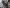 2010 Peterbilt 367 Engine Assembly