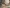 2016 Kenworth T800 Transmission Assembly