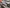 2016 Kenworth T800 Fifth Wheel
