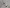 2016 Kenworth T800 Side View Mirror