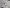 2016 Kenworth T800 Side View Mirror