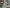 2016 Kenworth T800 Engine Assembly