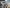 2016 Kenworth T800 Engine Assembly