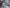 2016 Kenworth T800 Engine Assembly