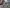 2016 Kenworth T800 Engine Assembly