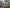 2019 Mack Anthem Fifth Wheel