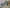 2019 Hino 338 Dash Assembly