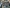2019 Mack Anthem Tandem Cutoff