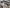 2016 Kenworth T800 Rear Rears (Tandem Rear or Single)