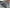 2016 Kenworth T800 Rear Rears (Tandem Rear or Single)