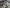 2016 Kenworth T800 Rear Rears (Tandem Rear or Single)