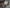 2021 Volvo VNL Transmission Assembly