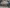 2021 Volvo VNL Transmission Assembly