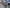 2021 Volvo VNL Transmission Assembly