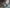2021 Volvo VNL Transmission Assembly